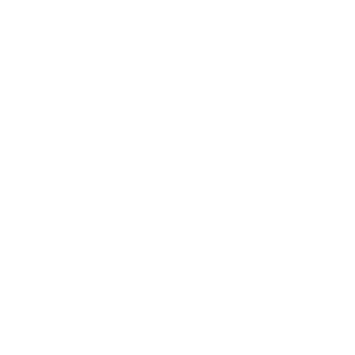 Password Rotation Key Icon